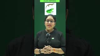 classamphibiaanimalkingdomneetclass11biologycbsencertvertebrateanimalsviralvideoonlineclass [upl. by Doi]