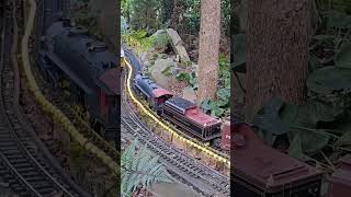 Aristocraft Pennsy Pacific with a short freight train at the Morris Arboretum Garden Railway steam [upl. by Anitteb]