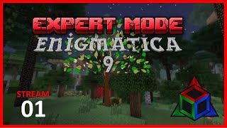 Enigmatica 9 EXPERT Mode  Day 1 Stream VOD [upl. by Aved]