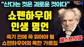 쇼펜하우어를 빼고 인생을 논하지 마라 산다는 것은 괴로운 것이다 쇼펜하우어 인생 명언 베스트 모음 오디오북 책읽어주는여자 korean audiobook [upl. by Arsi255]