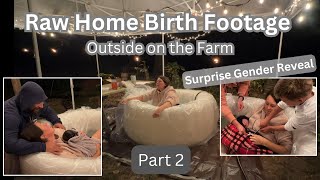 Unmedicated Home Birth of our 7th babyOutside on our Farm [upl. by Allenaj]