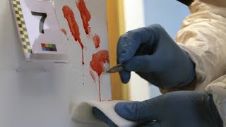 Química Forense hematología y toxicología [upl. by Atinad]