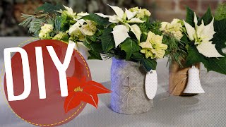 DIY med julstjärnor  Snabbt amp Enkelt Vinterbuketter i burk MyPoinsettia [upl. by Anidnamra7]