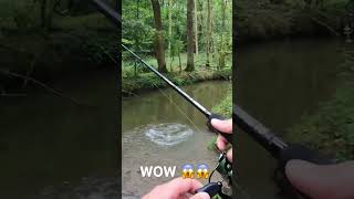 Énorme attaque au whopper plopper  whopperplopper fishing pike [upl. by Waltner]