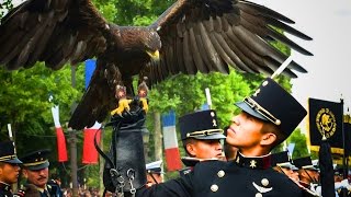 ÁGUILAS MEXICANAS EN FRANCIA ╬ HD EJÉRCITO MEXICANO [upl. by Spearing248]