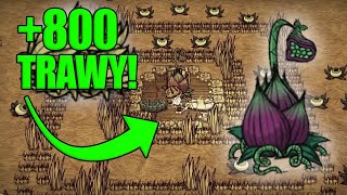 NAJLEPSZE FARMY TRAWY PATYKÓW I TRZCINY  Poradnik Dont Starve Together [upl. by Goodspeed]