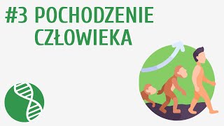 Pochodzenie człowieka 3  Ewolucja życia [upl. by Inihor]