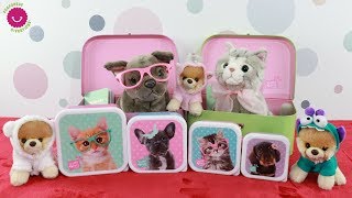 Los peluches MÁS BONITOS DEL MUNDO Adorables Perritos y Gatitos de juguete STUDIO PETS [upl. by Alexia55]