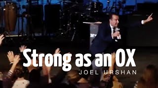 Joel Urshan  STRONG AS AN OX [upl. by Coates315]