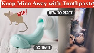 Toothpaste  Your Homes Best Defense Against Mice [upl. by Ibocaj160]