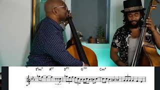 Birks Works  Christian McBride Bass Solo Transcription [upl. by Avron806]