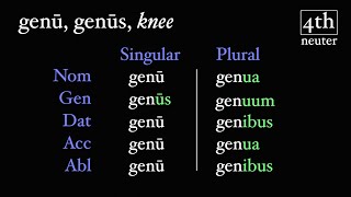 The Fourth Declension Neuter [upl. by Ennovahs]