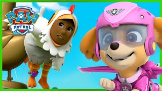 Helping Mayor Goodway 👩🏾‍🦱  PAW Patrol  Cartoons for Kids Compilation [upl. by Korfonta410]