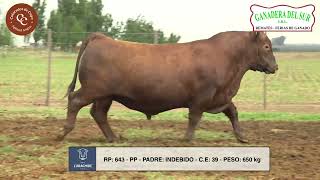 LARACHIDE  TORO PP  RP 643 [upl. by Johnny980]