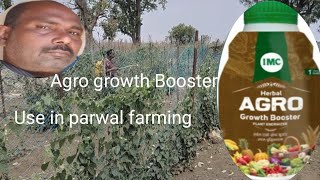 IMC Agro growth Booster and Agro Activator use in parwal farming [upl. by Seline]