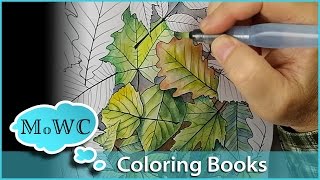 Coloring with Watercolor in Adult Coloring Books [upl. by Eupheemia]