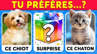 Tu Préfères CADEAU MYSTÈRE 🎉🎁❓ Roi Quiz [upl. by Hett]