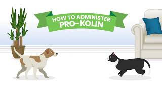 How to give ProKolin to your pet [upl. by Lashonde]