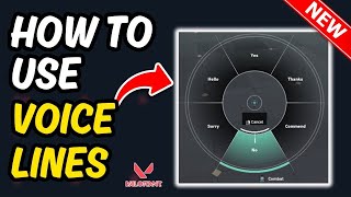 How To Use Voice Lines in valorant [upl. by Ardnoyek354]