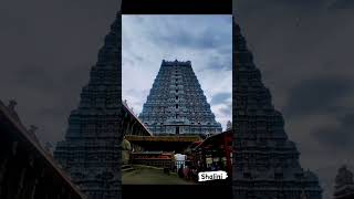 ThiruvanamalaiTamilnadugod likesubscribe 🙏 [upl. by Hesper631]