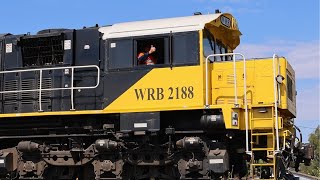 Watco Cattle Train Takeoff at Warra – Thumbs Up from the Driver 🚂👍 [upl. by Kavanagh]