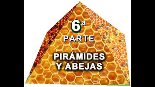 EXPERIMENTOS CON PIRAMIDES 06 ABEJAS [upl. by Marmaduke729]