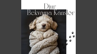 Djur Bekväma Känslor [upl. by Delastre]