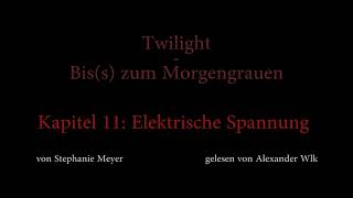 Twilight  Biss zum Morgengrauen Hörbuch Kapitel 11 [upl. by Noimad]