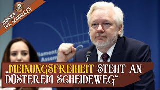 ASSANGE JOURNALISTEN BEDROHT IN EUROPA UND USA – quotBALD WIRD ES ZU SPÄT SEINquot [upl. by Araid488]