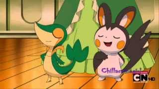 Problem MEP part 1 Cinccino Snivy Roserade and Emolga [upl. by Lebatsirhc557]