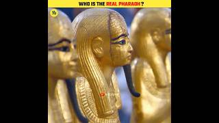 Where is The Mummy of Pharaoh shorts [upl. by Lessard651]