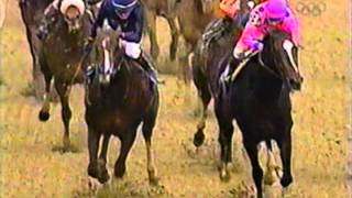 2000 Breeders Cup Classic  Tiznow  Post Race amp Interviews [upl. by Sander589]