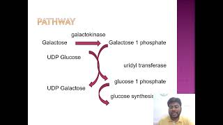 Galactose metabolism and galactosemia [upl. by Ennalyrehc]