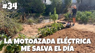 La motoazada eléctrica me salva el día 34  huerto asmr temporada alcachofas [upl. by Eaves737]