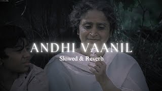 • Andhi Vaanil • Tamil • slowed amp reverb ARM [upl. by Sauder]