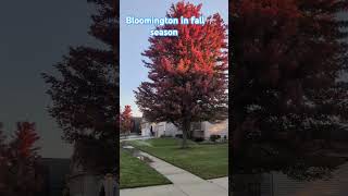 Bloomington in Fall season [upl. by Kalina928]