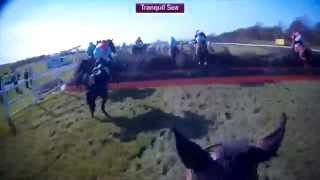 Grand National Jockey Cam Compilation [upl. by Aicital712]