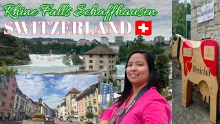 🇨🇭Rhine Falls Rhine fall Schaffhausen Switzerland A Day Tour  Gemix Channel [upl. by Alathia42]