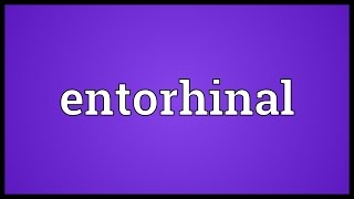 Entorhinal Meaning [upl. by Anifesoj875]