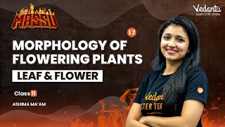 Morphology of flowering plants  L2  Root stem Leaf  Class 11 Biology Ashima Mam  Vedantu [upl. by Lian625]