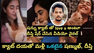 షన్ను క్యాట్ దయ తో ఒక్కటైన షణ్ముఖ్ దీప్తిShannu Deepthi meet again for Shannu CatSE [upl. by Nestor]