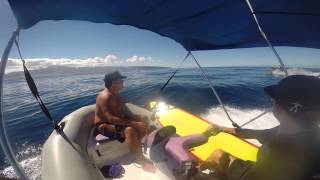 Sea Doo Explorer in Hawaii by Hawaii Eco Divers [upl. by Brendon]