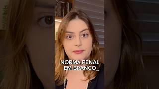 O que é NORMA PENAL EM BRANCO [upl. by Yorgen395]