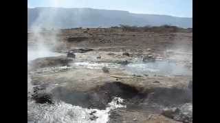 Lake Bogoria Kenya hot springs [upl. by Etteroma]