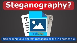 Using Steganography to Hide Data in Digital Image [upl. by Doraj239]