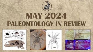 May 2024 Paleontology in Review [upl. by Oralee]