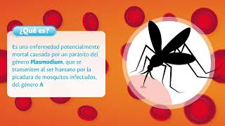 Conozca que es la malaria o también llamada paludismo [upl. by Flinn]