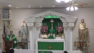 Father Radecki Ways to participate at Mass given by Pope Pius 12 [upl. by Nawek]