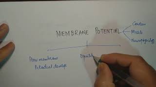 Membrane Potential how to approach the topic UrduHindi [upl. by Nayra]