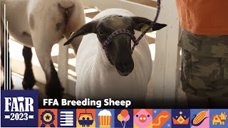 FFA Breeding Sheep – Fair 2023 [upl. by Jaquiss]